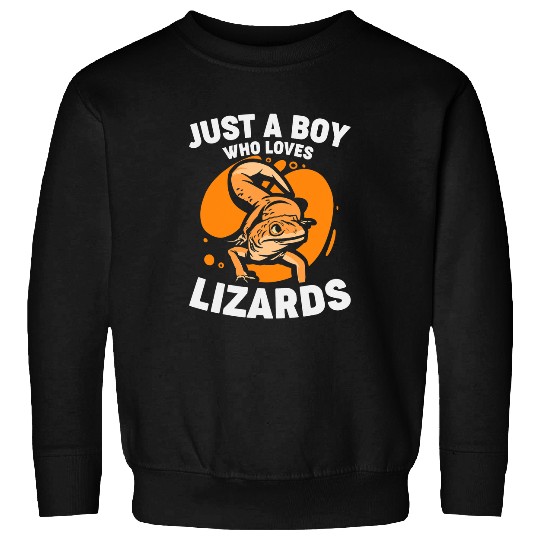 Komodo Pet Boy Who Loves Lizard Sweatshirts