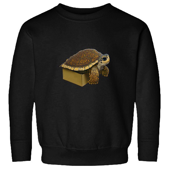 Turtle Pet Box Turtle Climbing Out of a Box Sweatshirts