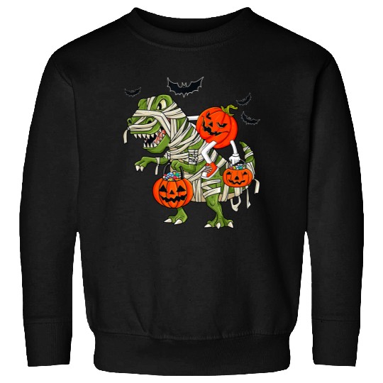 Dinosaur Pet Halloween Jack O Lantern Riding Mummy Dinosaur Toddler Boys 325 Sweatshirts