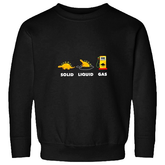 Dinosaur Pet Solid Liquid Gas Funny Dinosaur State Science Sweatshirts