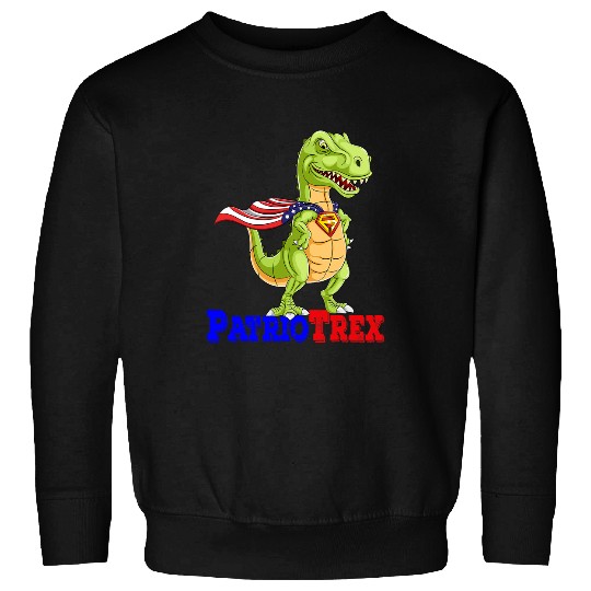 Dinosaur Pet Celebrate 4th of July America Independence Dinusaur Trex Kid Sweatshirts
