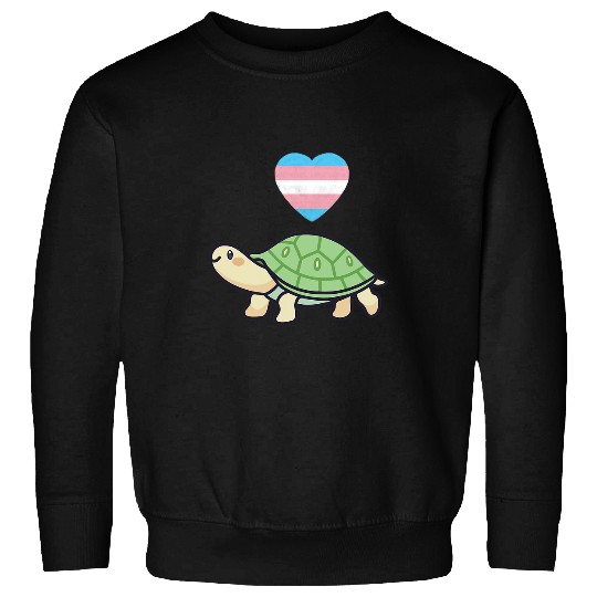 Turtle Pet LGBT Trans Turtle LGBTQ Transgender Pride Flag Kawaii Aesthetic Sweatshirts