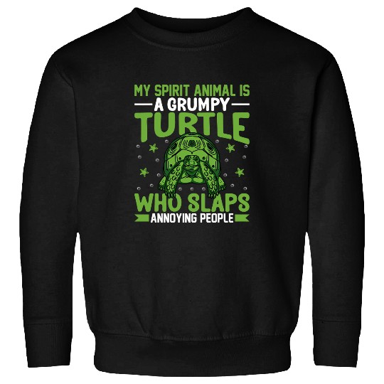 Turtle Pet Lover Funny My Spirit Animal Is a Grumpy Sweatshirts