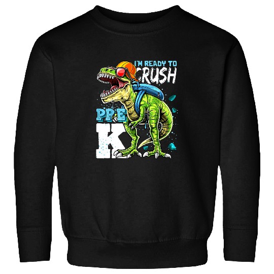 Dinosaur Pet T rexs Dinosaur Back To School Boys Essential Sweatshirts