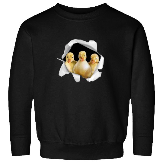 Chicken Pet and Wall Cute Duck Bird Lover Men Boys Girls Duckling Sweatshirts
