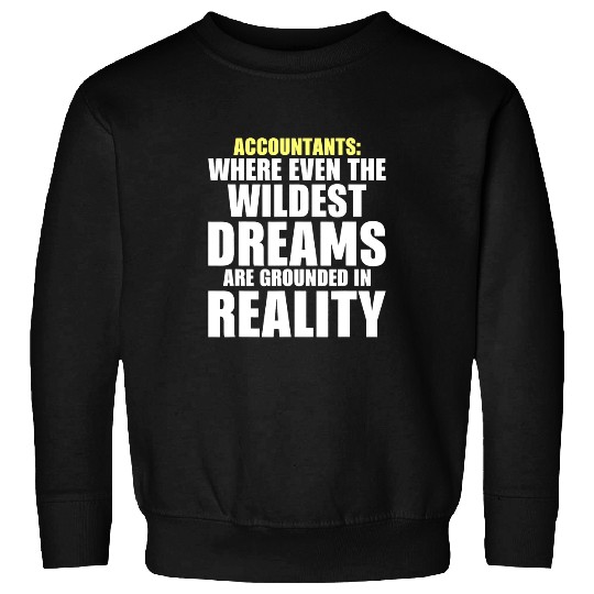 Accountant Job Giftsfunny the Accountant Software 3 Sweatshirts