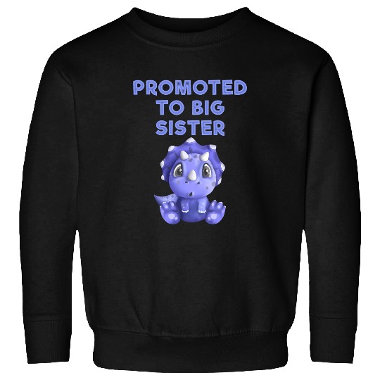 Dinosaur Pet Kids Promoted to Big Sister Cute kids dinosaur tee New baby 6 Sweatshirts