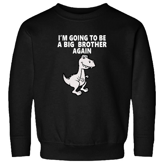 Dinosaur Pet Im Going To Be A Big Brother Again Funny Trex Kids Boys Sweatshirts