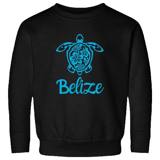 Turtle Pet Stunning Turtle with Vibrant Hibiscus Flowers Belize Sweatshirts