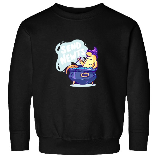 Komodo Pet Send Newts Funny Lizard Wizard Design Sweatshirts