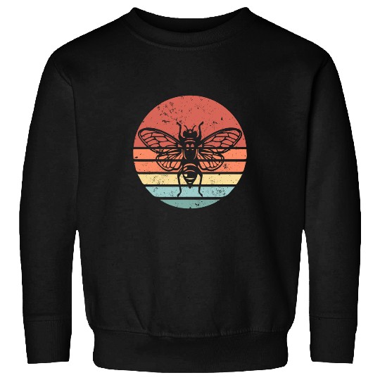 cicada 2024 Cicada Fest 2024 Broods XIX 2XIII Sweatshirts