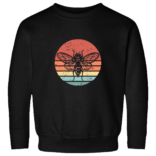 cicada 2024 Cicada Fest 2024 Broods XIX 2XIII Sweatshirts