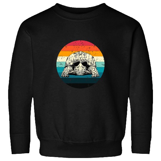Turtle Pet Retro Vintage Eastern Box Turtle Sunglasses Animal Lovers Sweatshirts