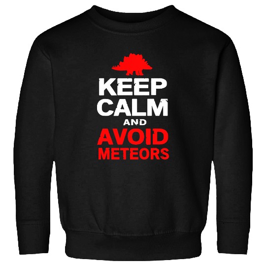 Dinosaur Pet Keep Calm And Avoid Meteors Funny Dinosaur Stegosaurus Sweatshirts