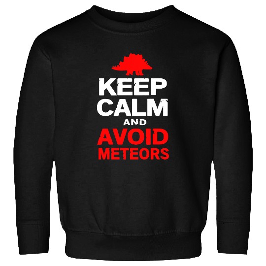 Dinosaur Pet Keep Calm And Avoid Meteors Funny Dinosaur Stegosaurus Sweatshirts