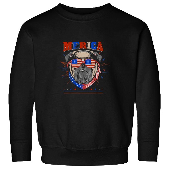 Truck Fun America USA Fan 4th of July Merica Trucker History Sweatshirts