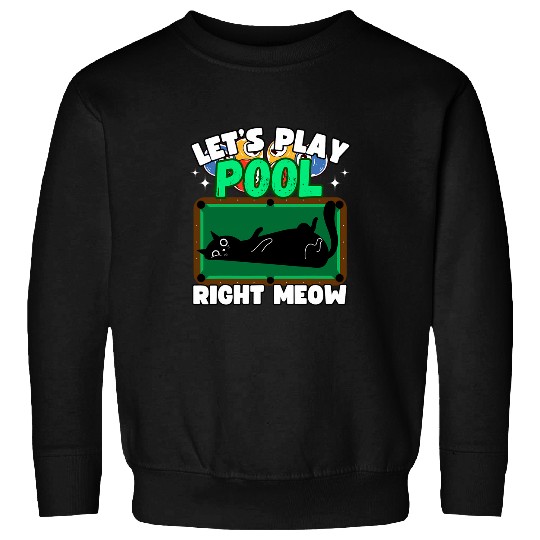Sport Billiard Pool Billiard Team 8 Ball Pool Player Cats Billiard 1 Sweatshirts