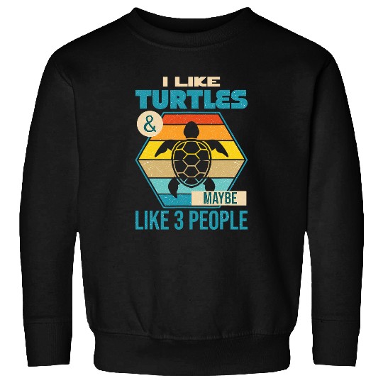 Turtle Pet I Like Turtles and Maybe 3 People Sweatshirts