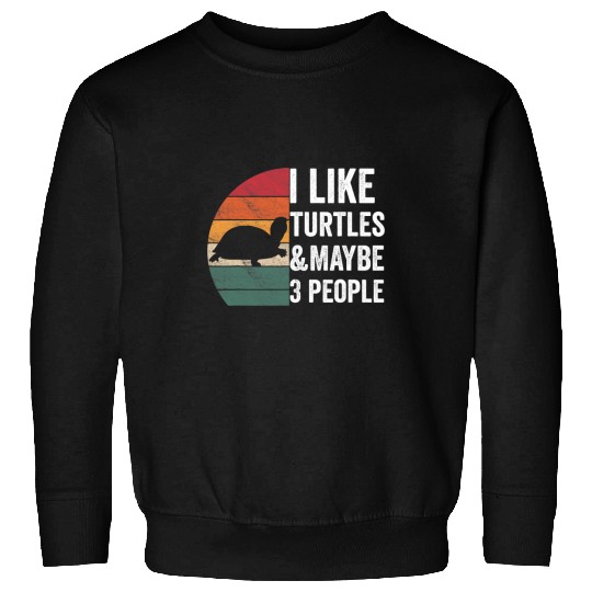 Turtle Pet I Like Turtles Maybe 3 People Turtle Owner Apparel Sweatshirts