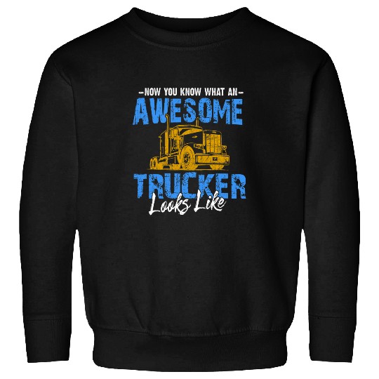 Truck Fun Awesome Trucker Big Rig SemiTrailer Truck Driver Sweatshirts