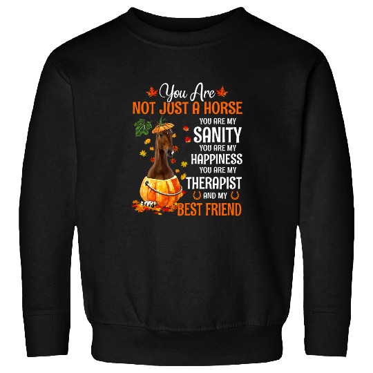 Horse Pet You Are Not Just A Horse You Are My Sanity And Friend Sweatshirts
