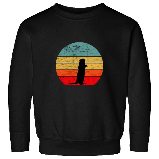 Otter Pet Otters Sea Otter Aquatic Mammal Otter Animal Retro vintages Sunset Sweatshirts