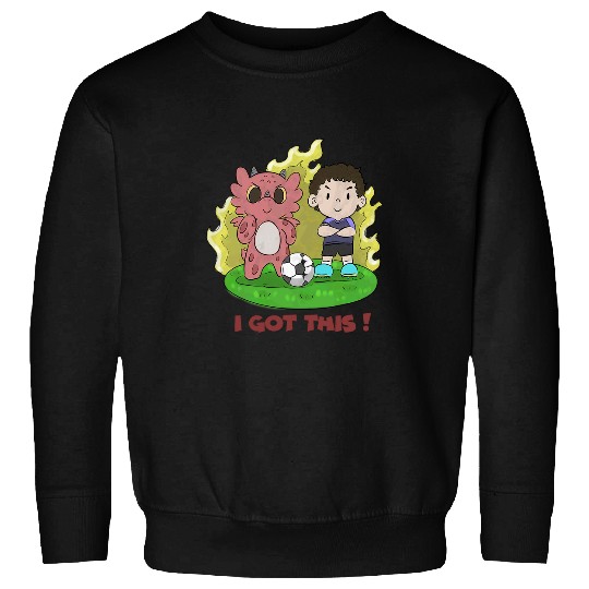 Dragon Pet I Got This My Dragon Books Brag Sweatshirts