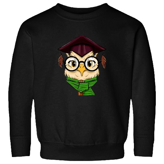 Owl Pet Magic Owl Wizard Owl Magic School Parcel Hedwig Sweatshirts