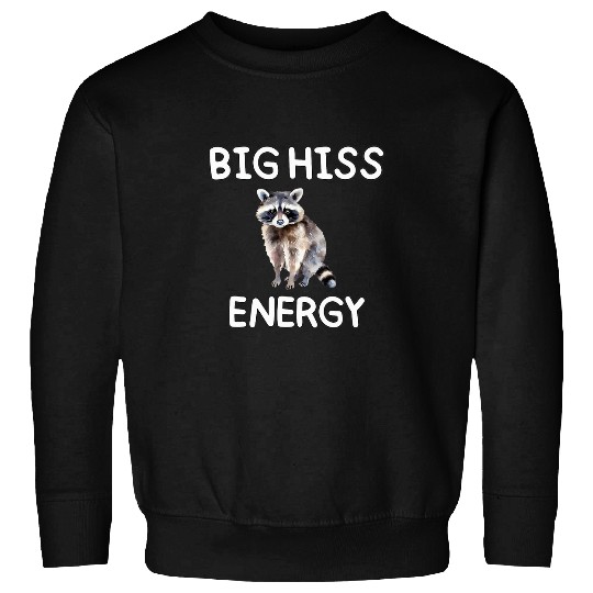 Raccoon Pet Big Hiss Energy Funny Raccoon Sweatshirts
