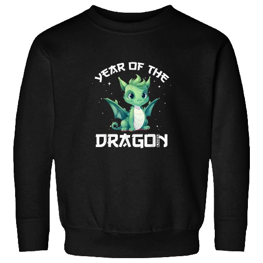 Dragon Pet New Year Year Of The Dragon for Kid Girl Boy V23 Sweatshirts