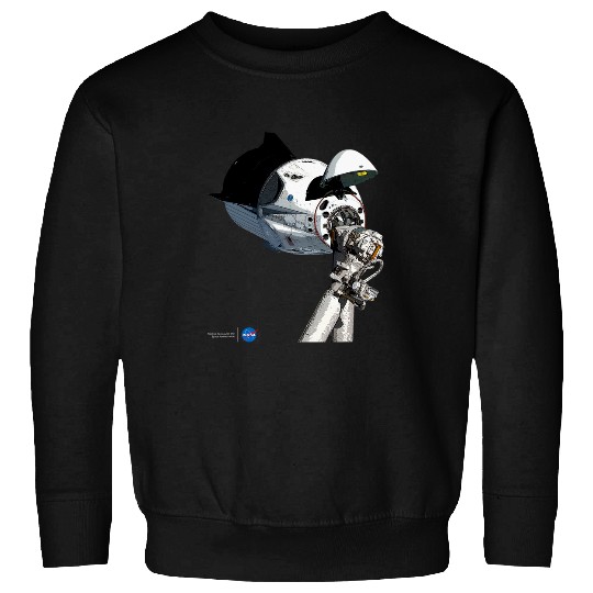 Dragon Pet NASA SpaceX Dragon Capsule At The ISS Sweatshirts