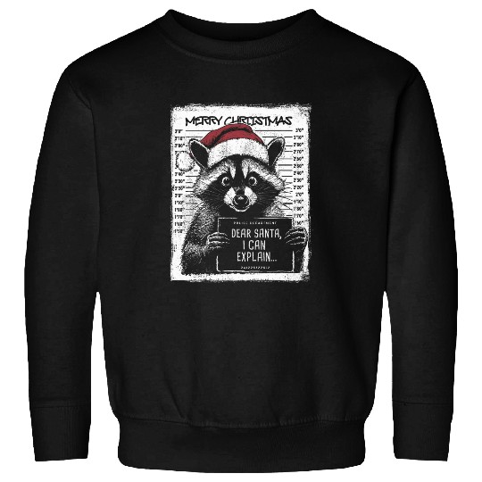Raccoon Pet Funny Holiday Dear Santa I Can Explain Raccoon Christmas Sweatshirts
