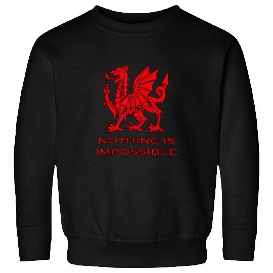 Dragon Pet Nothing Is Impossible Welsh Rugby Union Dragon Sweatshirts