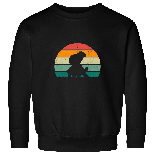 capybaras Pet on Tortoise capybaras riding tortoise vintages sunset Sweatshirts