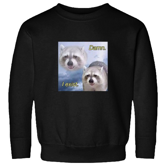 Raccoon Pet Damn I exist dark humor racoon existential funny Sweatshirts