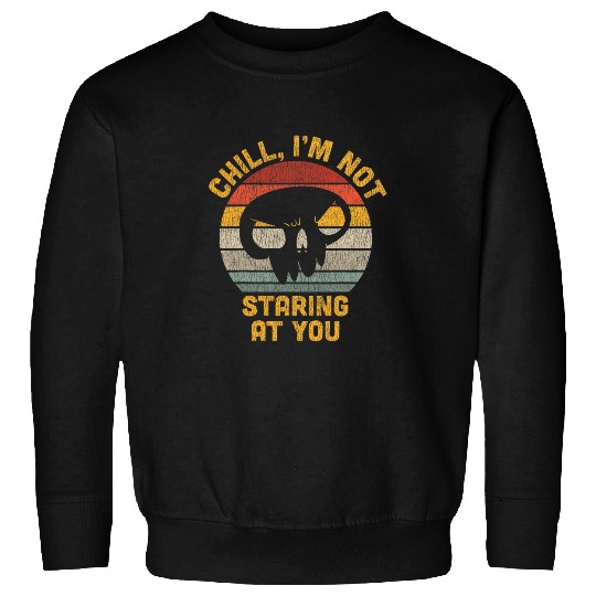 Fitness Gifts for Men Gym Lover Chill Im Not Staring At You Sweatshirts