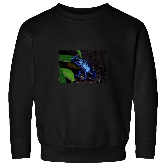 Colour Frog Tree Climber Frog Funny Arrow Poison Frog 3 Sweatshirts