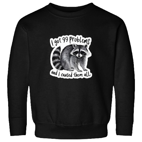 Raccoon Pet I Got 99 Problems And I Caused Them All Funny Raccoon Sweatshirts