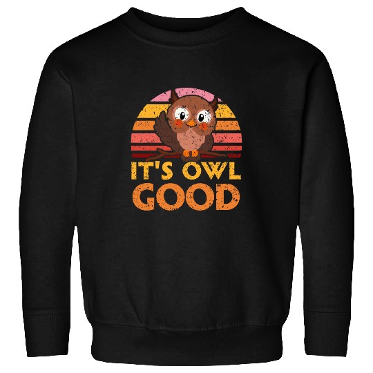 Discover Owl Pet It s Owl Good Owl Lover Nocturnal Bird Owl Whisperer 4 Sweatshirts