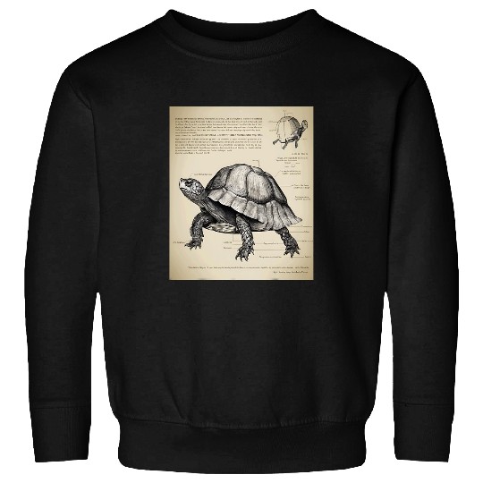 Turtle Pet Box Turtle Structural Blueprint Sweatshirts