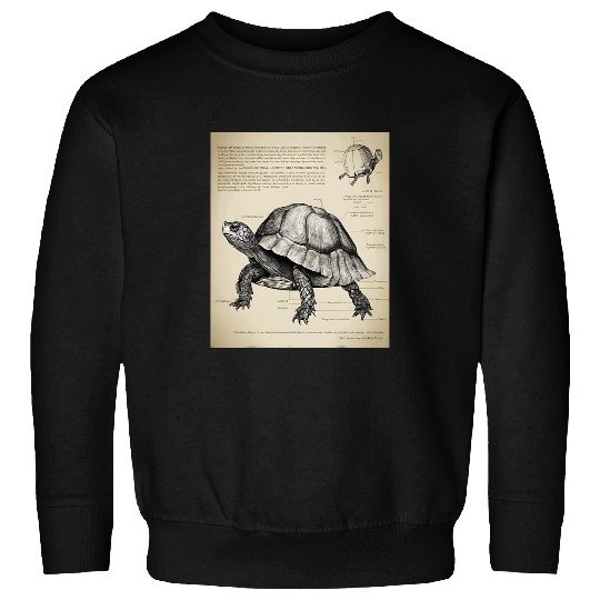 Turtle Pet Box Turtle Structural Blueprint Sweatshirts