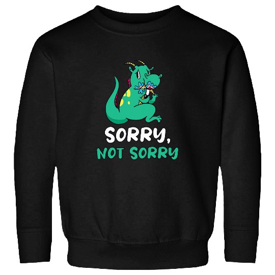 Dragon Pet Sorry Not Sorry Funny Saying Dragon Humor Sweatshirts