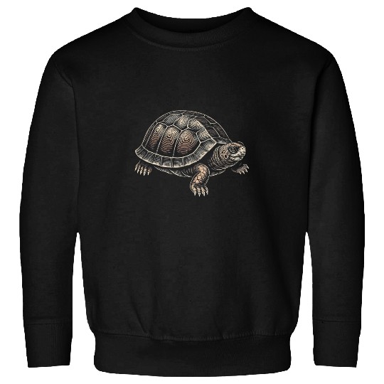 Turtle Pet Box Turtle Graphic Art Design For Women And Men Sweatshirts