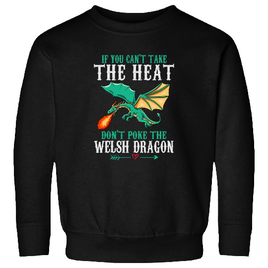 Dragon Pet Graphic If You Can t Take The Heat Do Not Poke The Dragon Sweatshirts