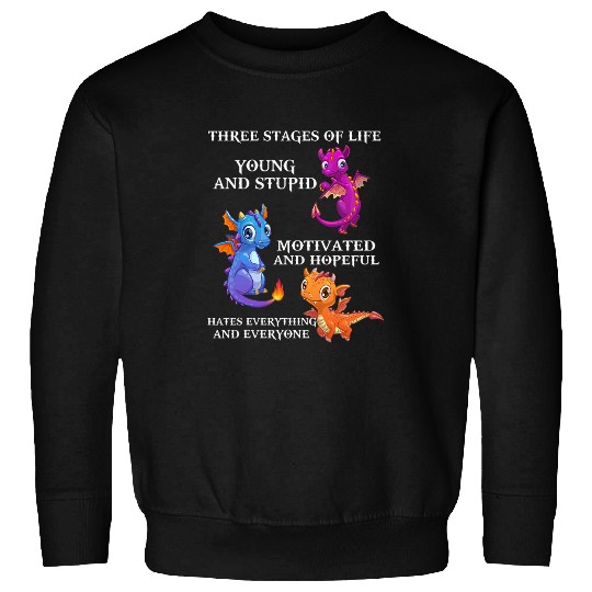 Dragon Pet Three Stages Of Life Young And Stupid Motivated Dragon Sweatshirts
