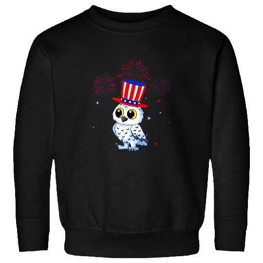 Owl Pet Snowy Owl Graphic Red White Blue Fireworks Decor 4th Of July 5 Sweatshirts