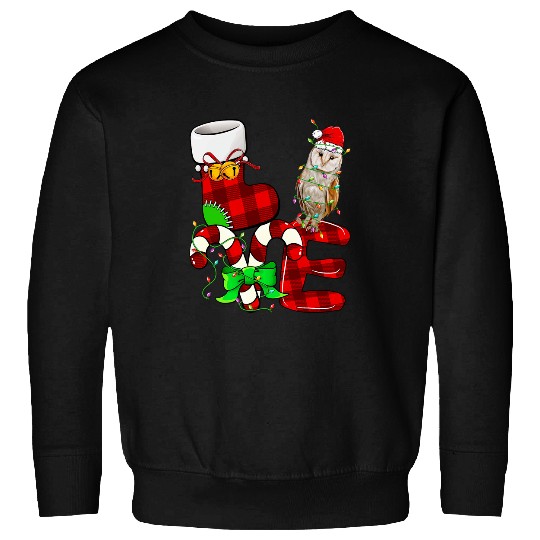 Owl Pet Barn Owl Lover Christmas Barn Owl Wearing Hat Christmas Sweatshirts