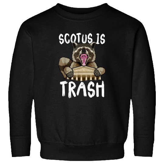 Raccoon Pet SCOTUS is Trash Panda United States Garbage 3 Sweatshirts