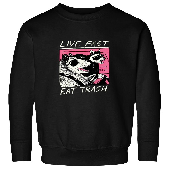Raccoon Pet Live Fast Eat Trash Funny Retro Raccoon Opossum Sweatshirts