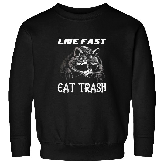 Raccoon Pet Live Fast Eat Trash Panda Funny 3 Sweatshirts